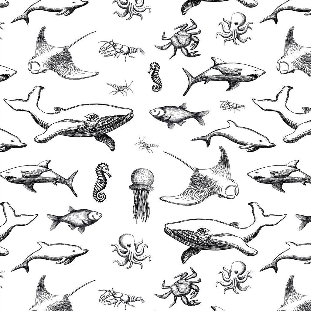 ocean fish drawing