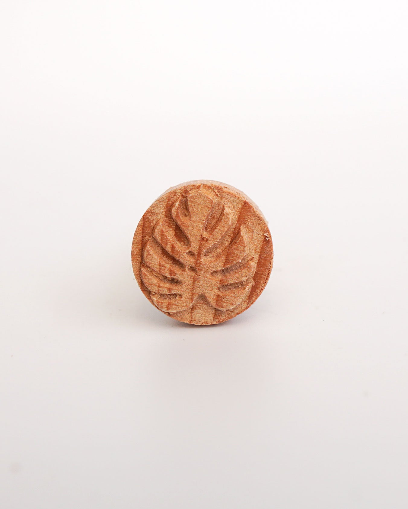 Big Monstera Stamp, Pottery Leaf, Art, Tropical Polymer Clay Stamps, Print,  Botanical Stamp - Yahoo Shopping